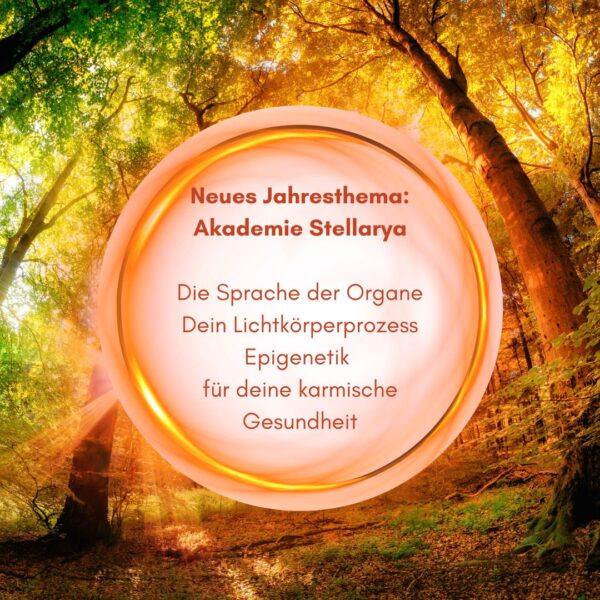 Drachenfrau-Akademie-Stellarya