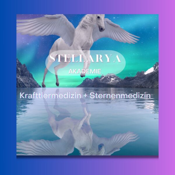 Drachenfrau-Akademie-Stellarya